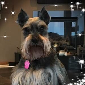 Meet your Posher, Barb